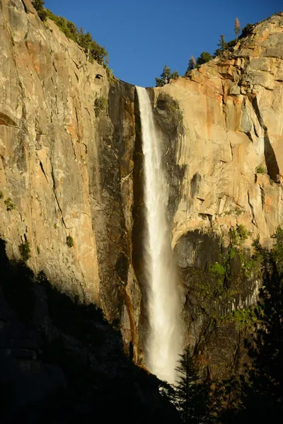 DSC_2466 (Large).JPG